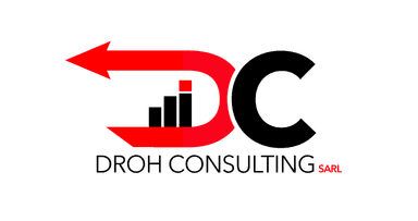 DROH Consulting